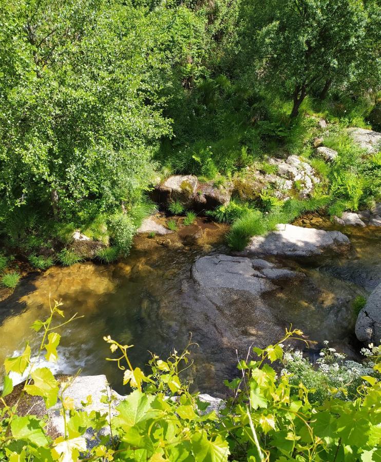 Abrigo Do Cabecinho - Serra Da Estrela Cortes do Meio Dış mekan fotoğraf